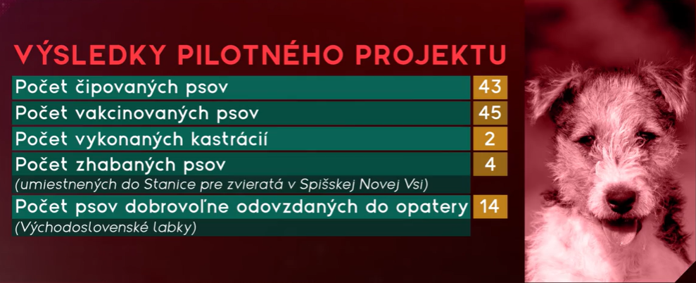 Výsledky čipovania